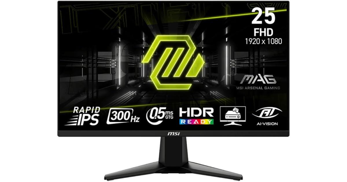 MSI MAG 255XF 25" Rapid IPS Full HD 300Hz 0.5ms HDR Ready AI Vision AMD FreeSync™ Premium w/ 2x HDMI & DisplayPort Interface - Black
